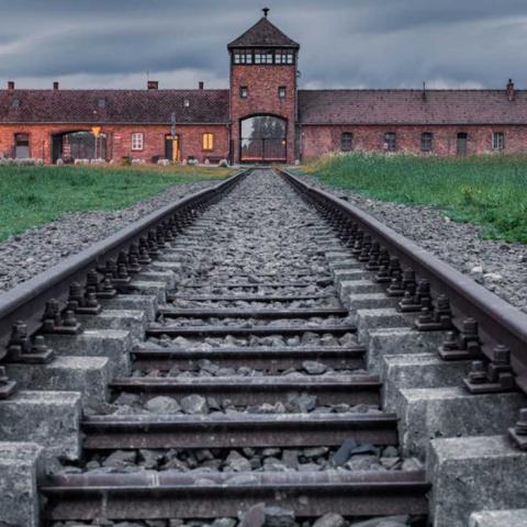 ir Auschwitz desde valladolid